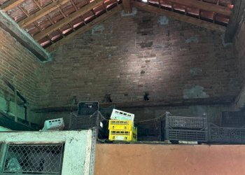 Foto 15 - Casa semi indipendente Gasparoli, Cassano Magnago - foto 15