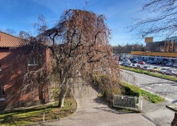 Foto 1 - Appartamento vittorio veneto, Gallarate - foto 1