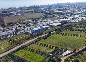 Foto 5 - Terreno agricolo Contrada Monte Aquilino
snc, San Benedetto del Tronto - foto 5