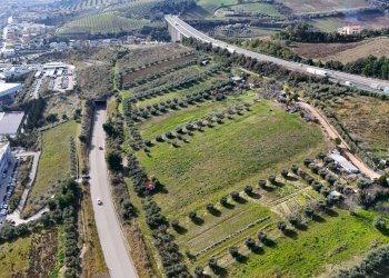 Foto 7 - Terreno agricolo Contrada Monte Aquilino
snc, San Benedetto del Tronto - foto 7