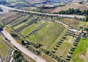 Foto 8 - Terreno agricolo Contrada Monte Aquilino
snc, San Benedetto del Tronto - foto 8