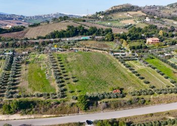 Foto 9 - Terreno agricolo Contrada Monte Aquilino
snc, San Benedetto del Tronto - foto 9