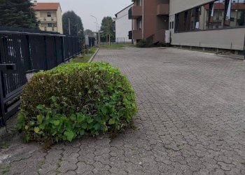 Foto 7 - Shed Villasanta - photo 7