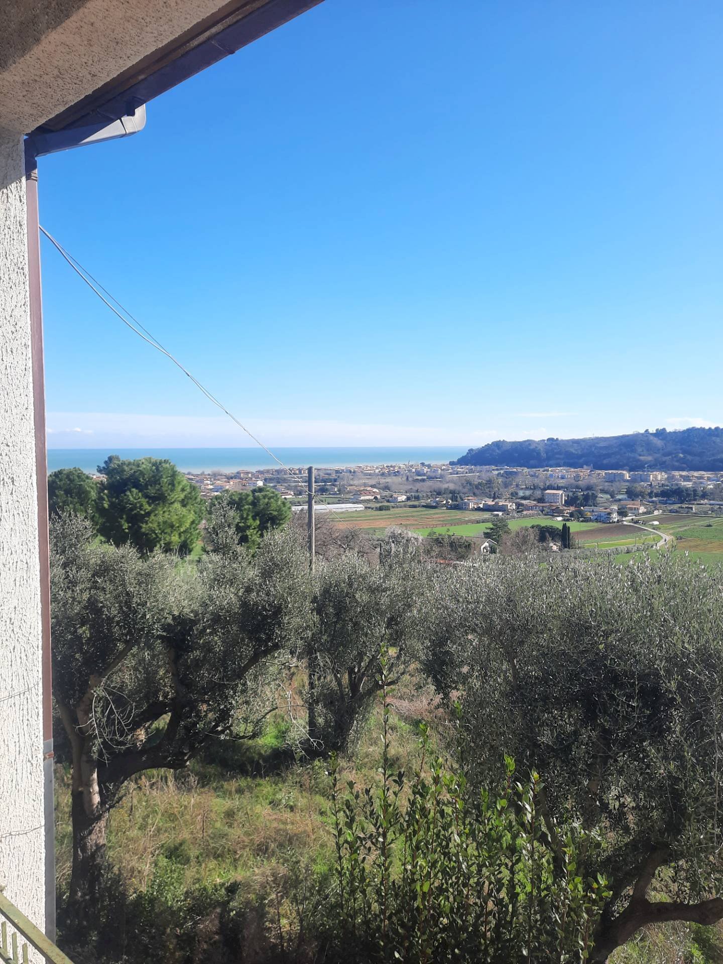 Foto 3 - Rustic via Croce
 
12, Altidona - photo 3