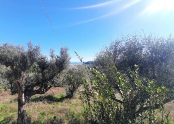 Foto 12 - Rustico via Croce
 
12, Altidona - foto 12