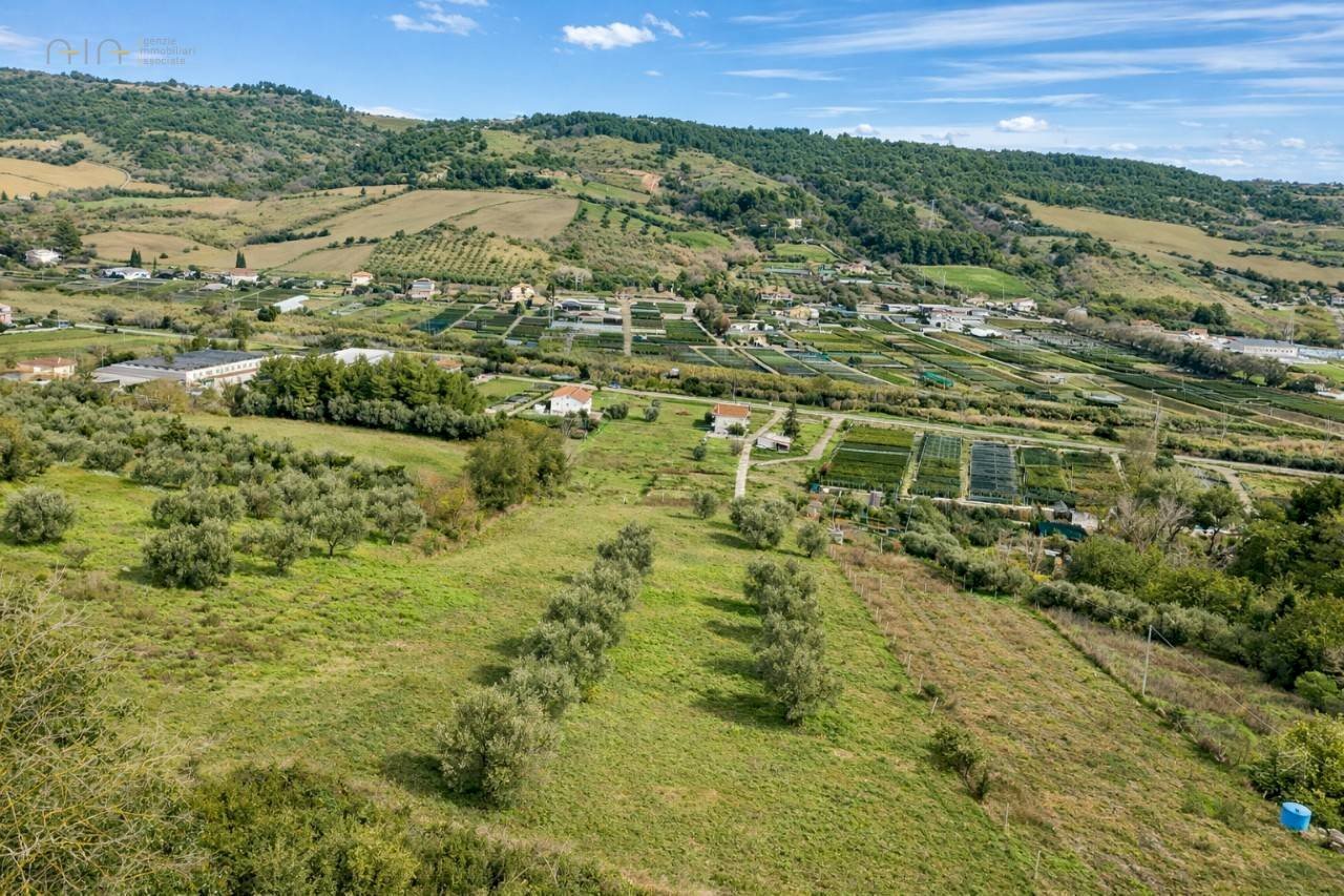 Foto 2 - Terreno agricolo C.da Bore Tesino, Grottammare - foto 2