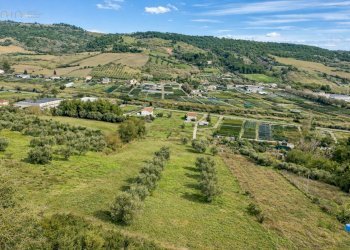Foto 2 - Terreno agricolo C.da Bore Tesino, Grottammare - foto 2