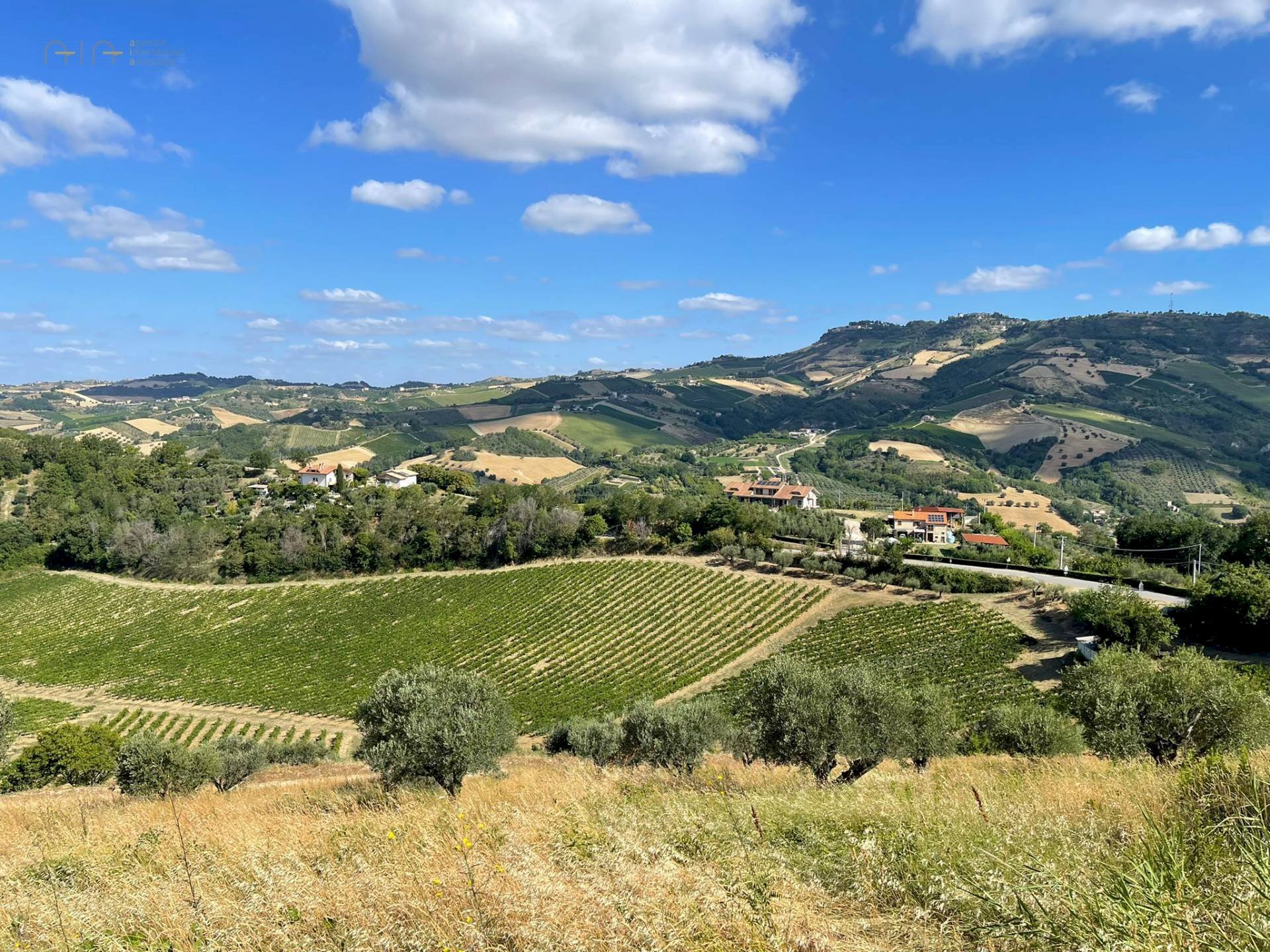 Foto 1 - Terreno agricolo Contrada Collevecchio
 
snc, Ripatransone - foto 1