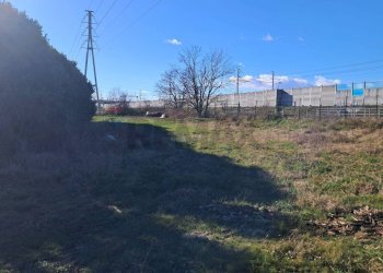 Giardino - Capannone via don sturzo
 
snc, Marcallo con Casone - foto 10