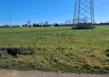 Giardino - Capannone via don sturzo
 
snc, Marcallo con Casone - foto 21