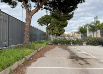 Giardino - Stabile - Palazzo Strada Stoppelli
 
9, Bari - foto 15