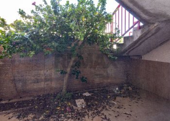 Giardino - Appartamento Via Dell'Edera
 
12, Santa Croce Camerina - foto 12