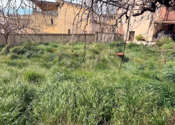 Giardino - Independent house Via Giuseppe Garibaldi
 
71/73, Ferla - photo 9