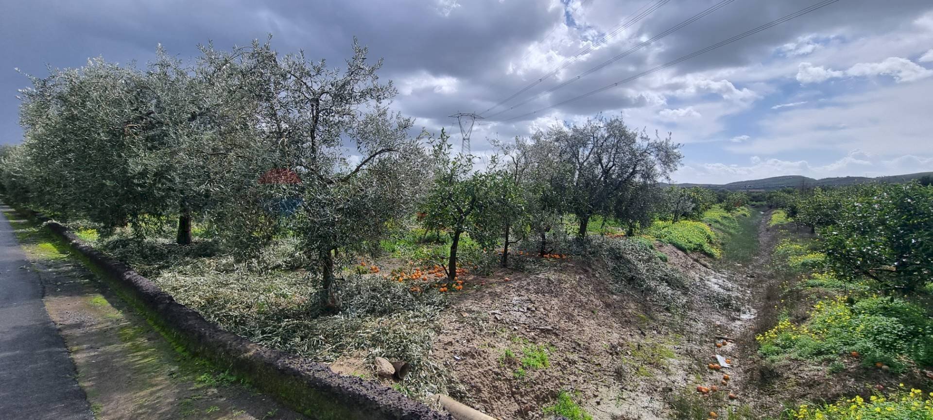 Giardino - Terreno agricolo CONTRADA SALINELLE, Paterno - foto 3