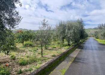 Giardino - Terreno agricolo CONTRADA SALINELLE, Paterno - foto 1
