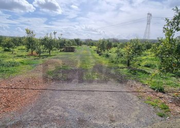 Giardino - Terreno agricolo CONTRADA SALINELLE, Paterno - foto 9