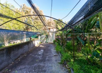 Giardino - Villa villaggio primo sole 2
 
sn, Catania - foto 2