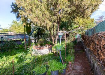 Giardino - Villa villaggio primo sole 2
 
sn, Catania - foto 20