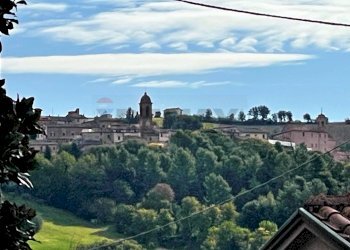 Giardino - Trilocale Serra de' Conti - foto 14