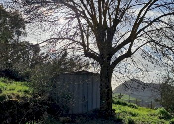 Edificio all\'aperto - Villa Strada Comunale 89 Suriano
 
s.n.c., Enna - foto 9