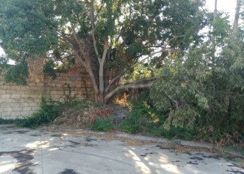Giardino - Terreno agricolo Via santissimo crocifisso
 
Snc, San Giovanni la Punta - foto 23
