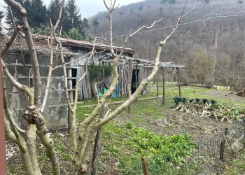 Giardino - Casa semi indipendente Via Piano Soprano
 
5, Bormida - foto 8