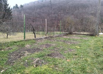 Giardino - Casa semi indipendente Via Piano Soprano
 
5, Bormida - foto 14