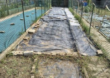 Non correlato - Appartamento via circonvallazione
 
24, Momo - foto 19