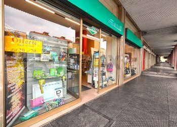 Dispensa di stoccaggio - Locale Commerciale Viale Libertà
 
21, Pavia - foto 3