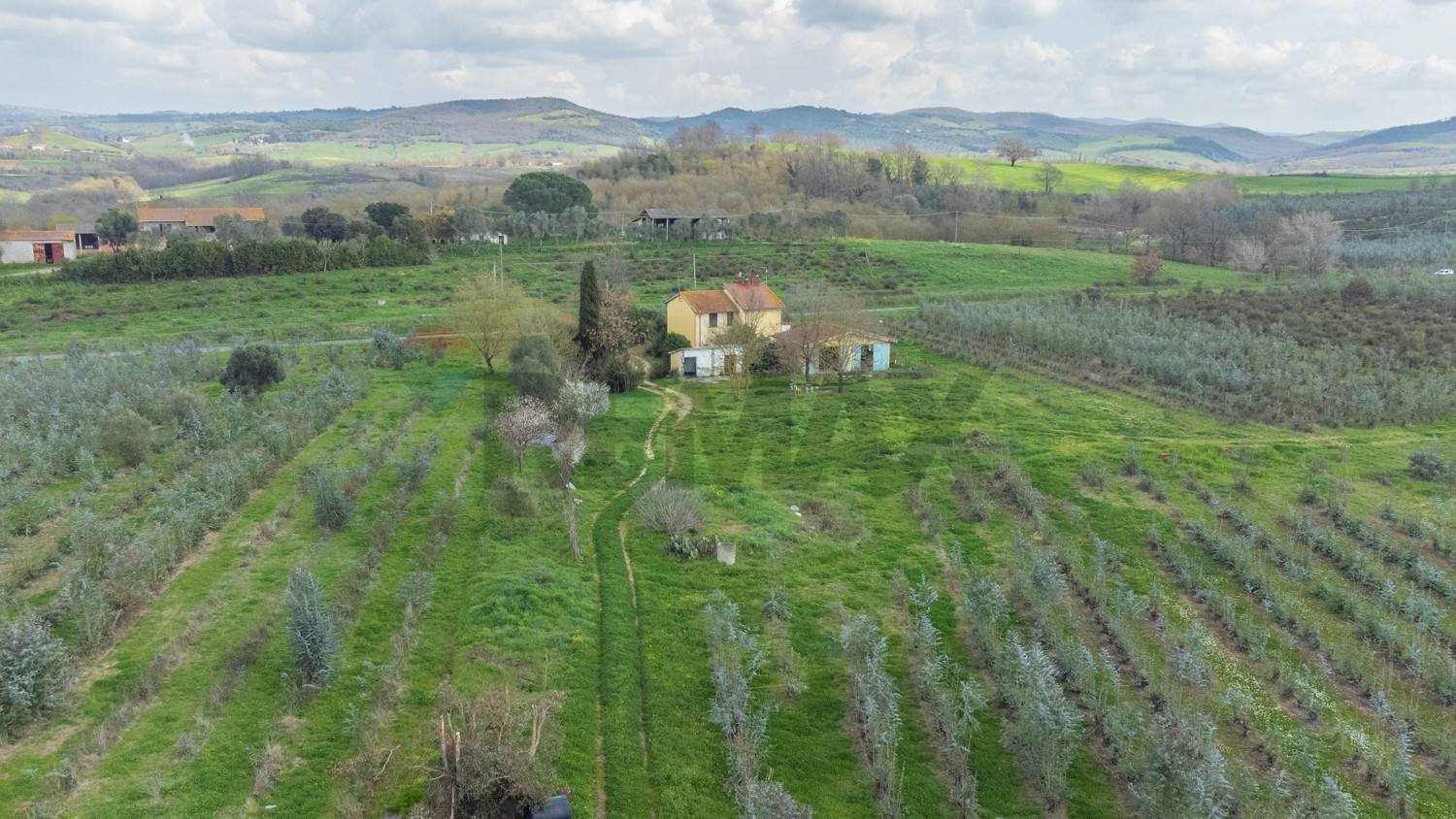 Vista delle montagne - Rustico Str. della Sgrilla, 28-20, Capalbio - foto 2