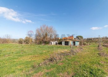 Giardino - Rustico Str. della Sgrilla, 28-20, Capalbio - foto 5