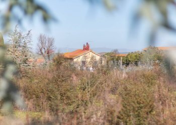 Vista delle montagne - Rustico Str. della Sgrilla, 28-20, Capalbio - foto 15