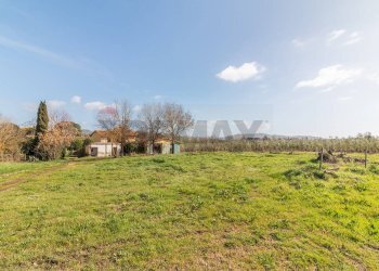 Giardino - Rustico Str. della Sgrilla, 28-20, Capalbio - foto 18