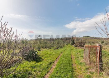 Giardino - Rustico Str. della Sgrilla, 28-20, Capalbio - foto 19