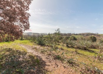 Vista delle montagne - Rustico Str. della Sgrilla, 28-20, Capalbio - foto 21