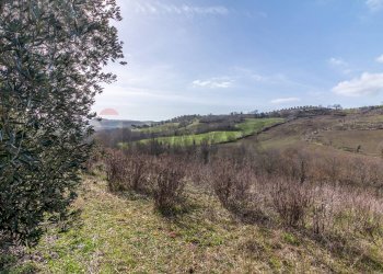 Vista delle montagne - Rustico Str. della Sgrilla, 28-20, Capalbio - foto 22