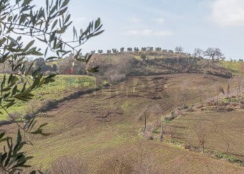 Vista delle montagne - Rustico Str. della Sgrilla, 28-20, Capalbio - foto 23