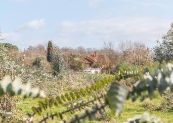 Giardino - Rustico Str. della Sgrilla, 28-20, Capalbio - foto 27