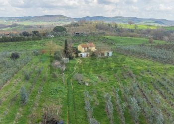 Vista delle montagne - Rustic Str. della Sgrilla, 28-20, Capalbio - photo 2