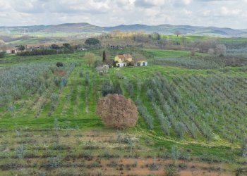 Vista delle montagne - Rustic Str. della Sgrilla, 28-20, Capalbio - photo 47