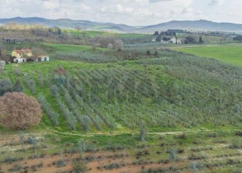 Vista delle montagne - Rustic Str. della Sgrilla, 28-20, Capalbio - photo 48