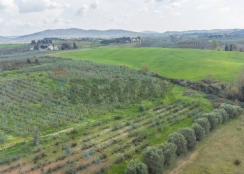 Vista delle montagne - Rustic Str. della Sgrilla, 28-20, Capalbio - photo 49