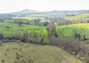 Vista delle montagne - Rustic Str. della Sgrilla, 28-20, Capalbio - photo 50