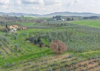 Vista delle montagne - Rustic Str. della Sgrilla, 28-20, Capalbio - photo 51