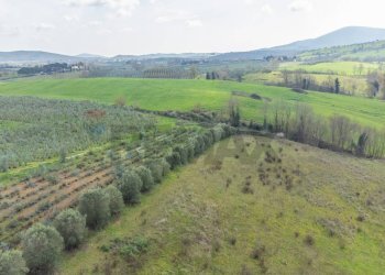 Vista delle montagne - Rustic Str. della Sgrilla, 28-20, Capalbio - photo 52