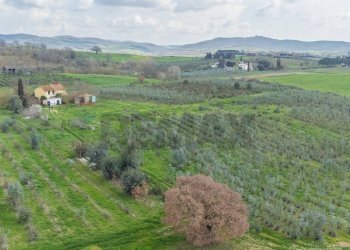Vista delle montagne - Rustic Str. della Sgrilla, 28-20, Capalbio - photo 53