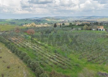 Vista delle montagne - Rustic Str. della Sgrilla, 28-20, Capalbio - photo 55