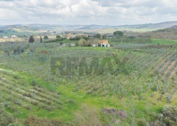 Vista delle montagne - Rustic Str. della Sgrilla, 28-20, Capalbio - photo 56