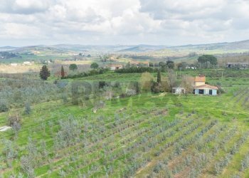 Vista delle montagne - Rustic Str. della Sgrilla, 28-20, Capalbio - photo 57