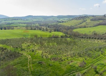 Vista delle montagne - Rustic Str. della Sgrilla, 28-20, Capalbio - photo 59